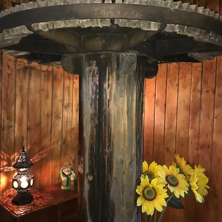 Hébergement de vacances Windmill Vacation In Ledzin Near Baltic Sea