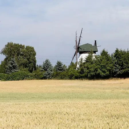 Windmill Vacation In Ledzin Near Baltic Sea 別荘 ニエホジェ