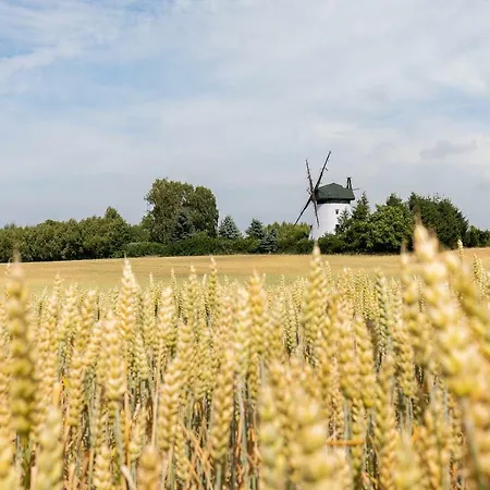 Windmill Vacation In Ledzin Near Baltic Sea * Niechorze