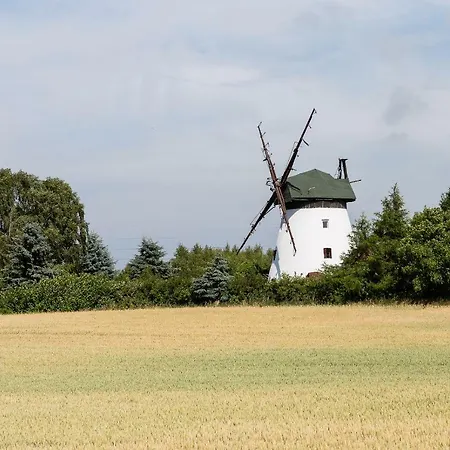 Windmill Vacation In Ledzin Near Baltic Sea 別荘 *