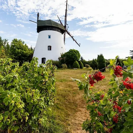 Windmill Vacation In Ledzin Near Baltic Sea * ニエホジェ