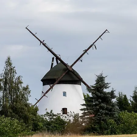 Windmill Vacation In Ledzin Near Baltic Sea * ニエホジェ