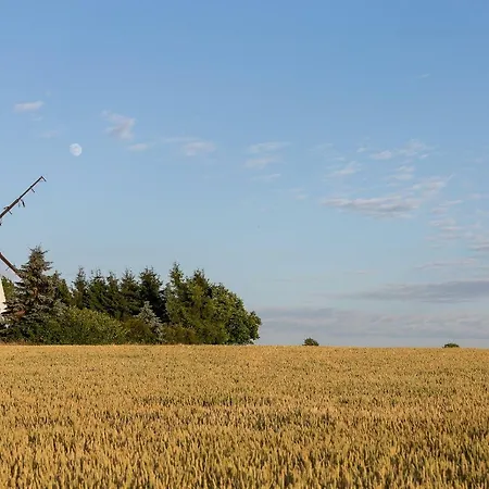 Windmill Vacation In Ledzin Near Baltic Sea 別荘