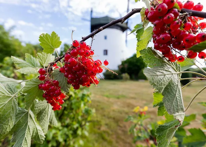 Windmill Vacation In Ledzin Near Baltic Sea 尼彻兹
